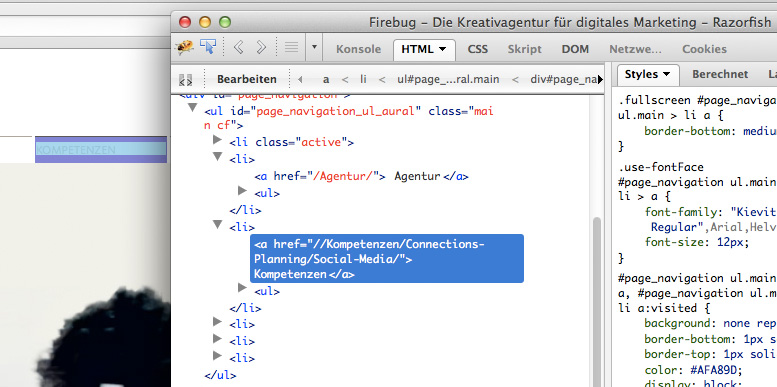 Netzwerk-Referenz bei Razorfish